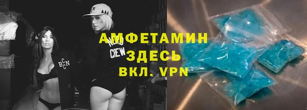 амф Бородино